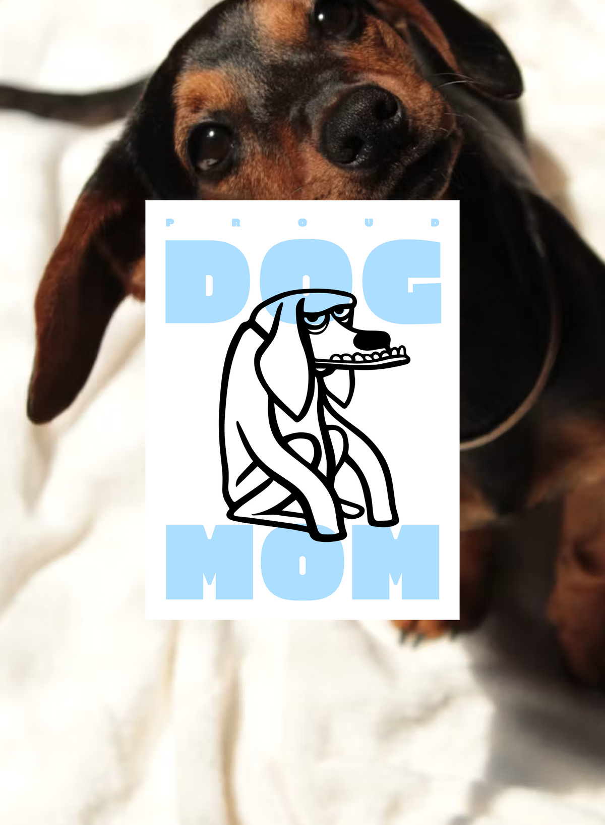 Pets